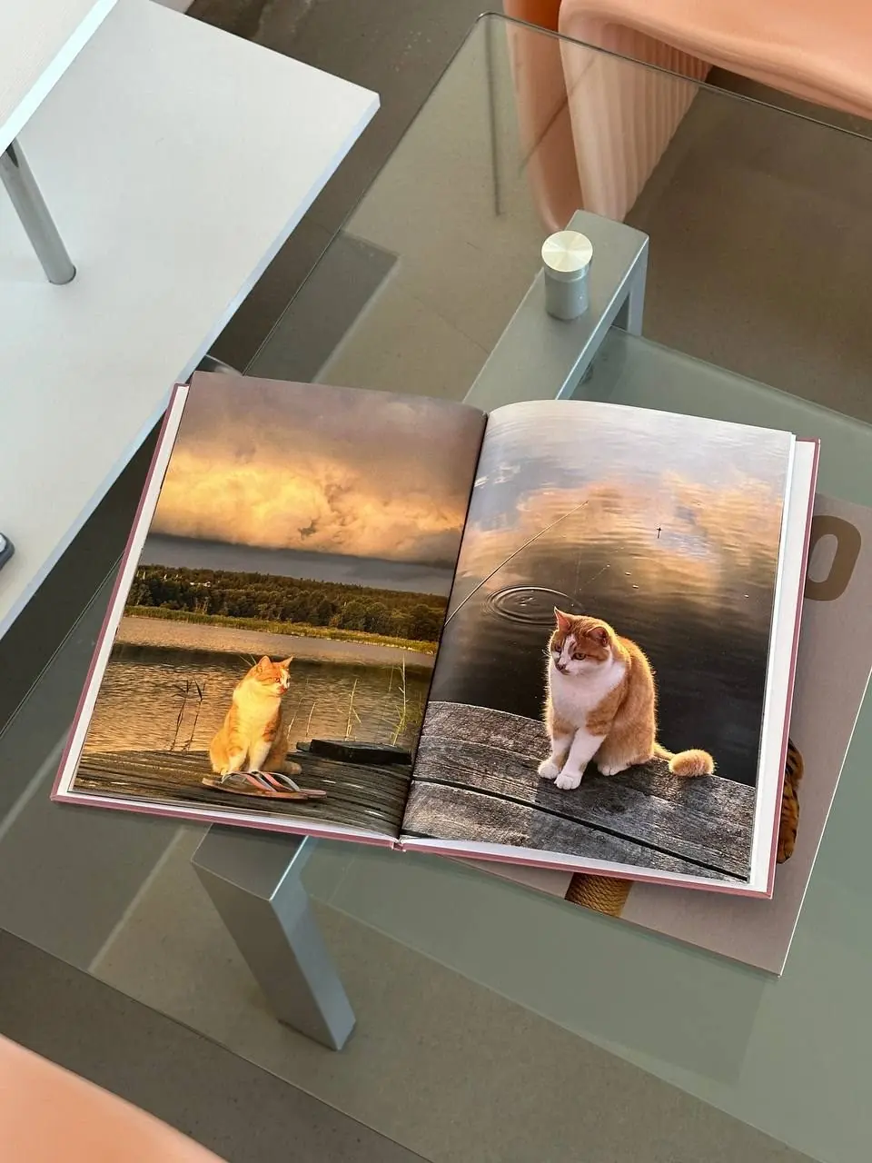 Разворот фотокниги