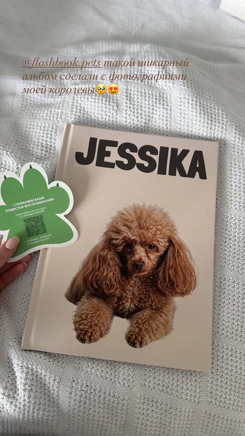 Фотокнига о пуделе Jessika