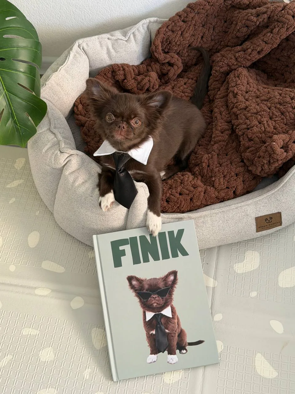 Фотокнига о щенке Finik