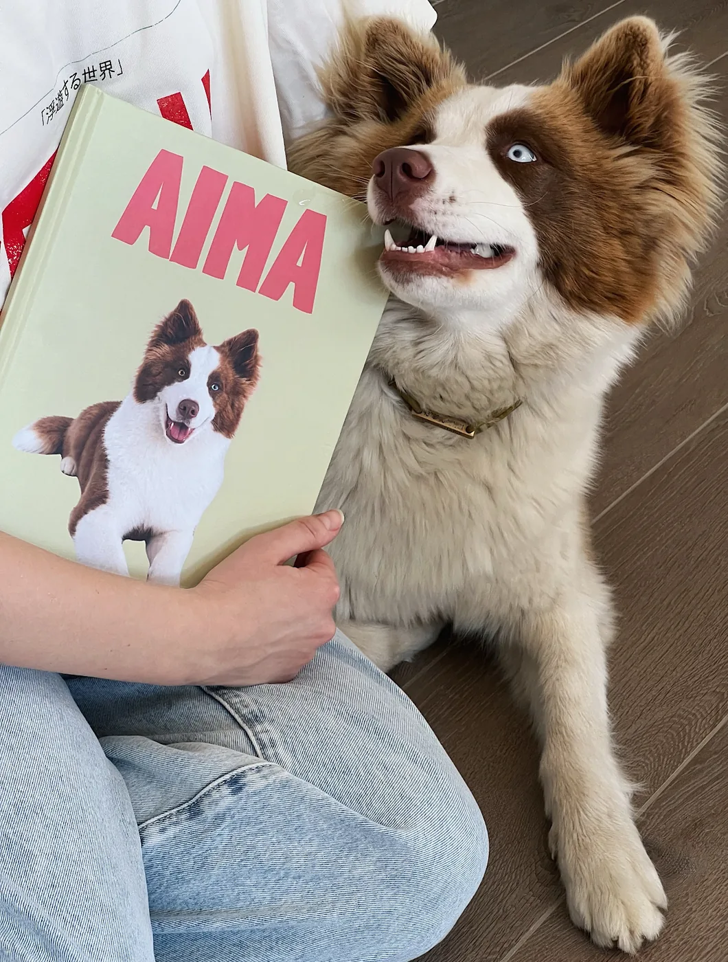 Фотокнига Aima и её герой